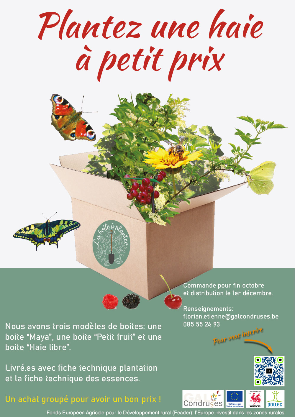 Planter une haie à petit prix