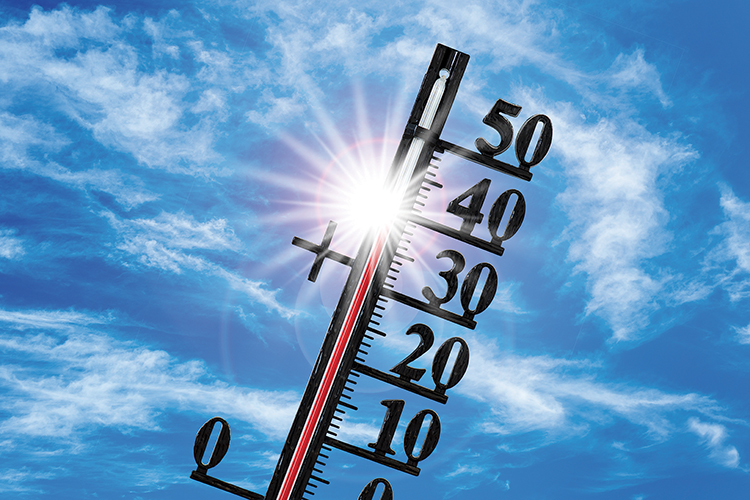 Canicule