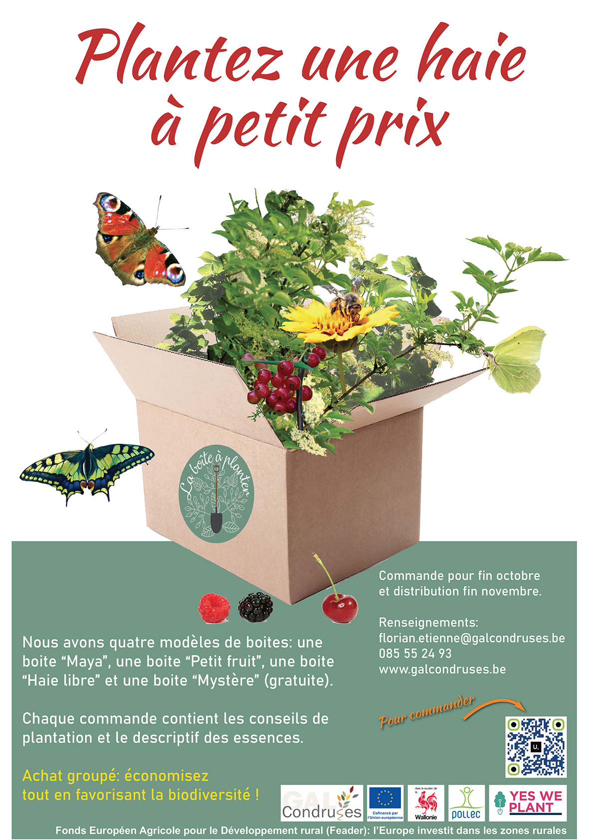 Plantez une haie à petit prix
